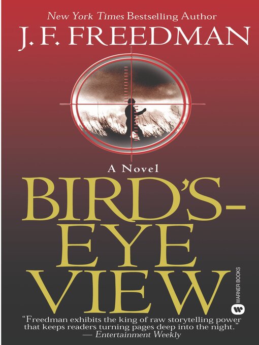 Cover image for Bird's-Eye View
